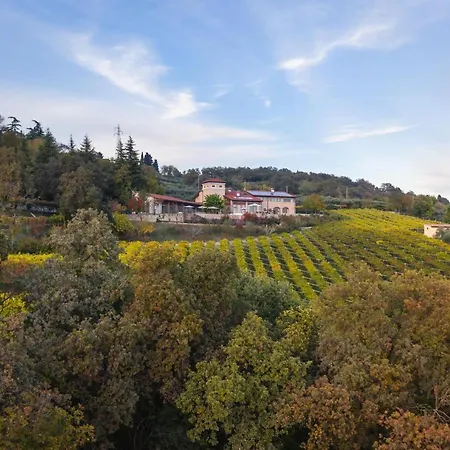 Ai Dossi Lantgård *